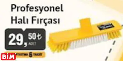 SGS PROFESYONEL HALI FIRÇASI